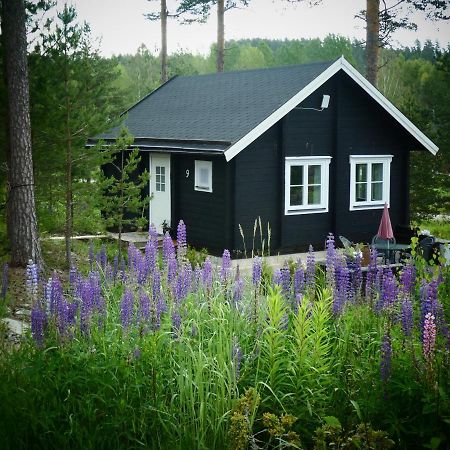 Froeya Timber Cottage 阿尔维卡 外观 照片