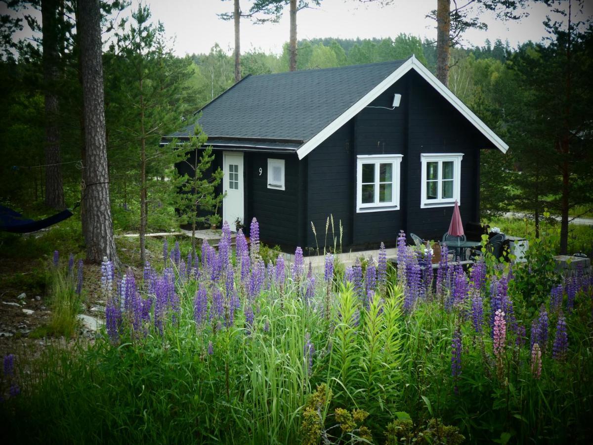 Froeya Timber Cottage 阿尔维卡 外观 照片